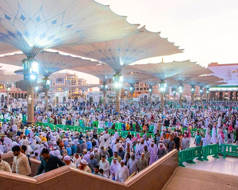 <a style="pointer-events: none;">5-Star Elite Umrah Package – 10 Nights of Seamless Convenience </a><p class="prce"><span class="small">From</span> <span class="prceclr">£1150.00</span></p> <hr>               <p>                <ul class="custom_scroll">                  <li>5 Nights in Makkah (Near Haram)</li>                  <li>5 Nights in Medina (Premium 5-Star Hotel with Top-Tier Services)</li>                  <li>Direct & indirect flight options from UK</li>                  <li>Personalized transport & expert-guided Ziyarat trip</li>                  <li>Half-board meal plan for flexibility & convenience</li>                </ul>              </p>              <span><a href="https://wa.me/+441218190191" target="_blank"> <img src="https://almusafirtravel.co.uk/wp-content/uploads/2025/05/chat.png" class="tel3"/> <a/>                 <a href="https://almusafirtravel.co.uk/book-it-now/" class="tel2"><button>Enquire Now <i class="fa-solid fa-circle-chevron-right"></i></button></a> </span>